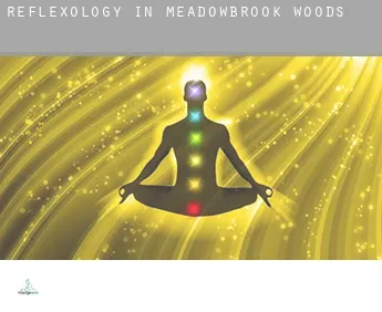 Reflexology in  Meadowbrook Woods