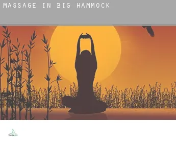 Massage in  Big Hammock