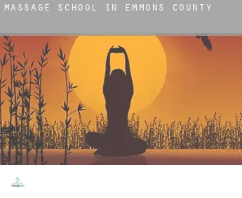 Massage school in  Emmons County