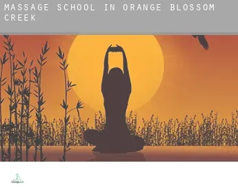 Massage school in  Orange Blossom Creek