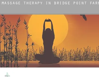 Massage therapy in  Bridge Point Farms