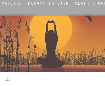 Massage therapy in  Saint Clair Shores