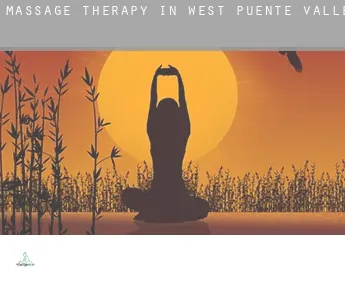 Massage therapy in  West Puente Valley