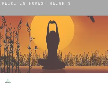Reiki in  Forest Heights