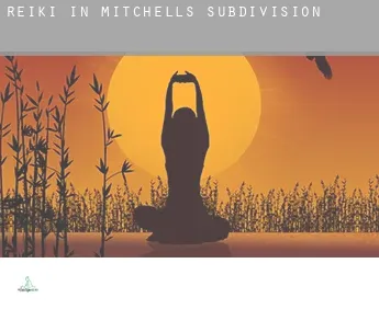 Reiki in Mitchells Subdivision