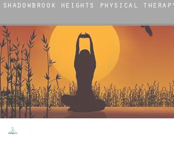 Shadowbrook Heights  physical therapy