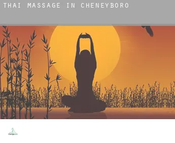 Thai massage in  Cheneyboro