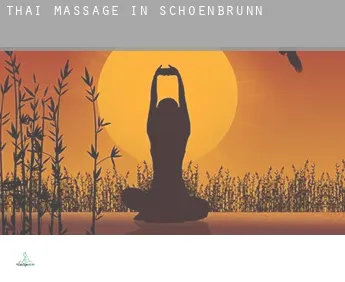 Thai massage in  Schoenbrunn