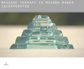 Massage therapy in  Meadow Manor Incorporated