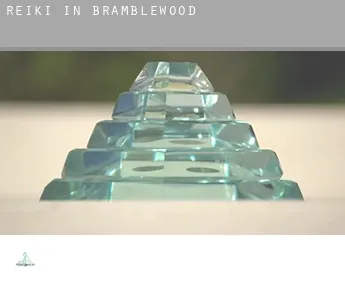 Reiki in  Bramblewood