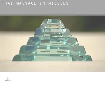 Thai massage in  Mileses