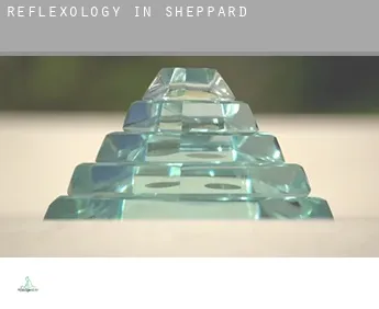 Reflexology in  Sheppard