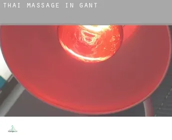 Thai massage in  Gant