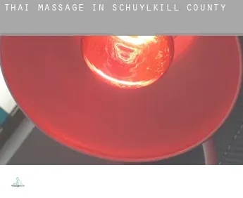 Thai massage in Schuylkill County