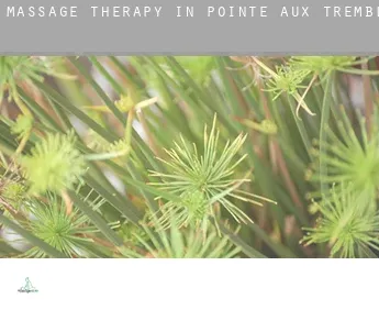 Massage therapy in  Pointe aux Tremble