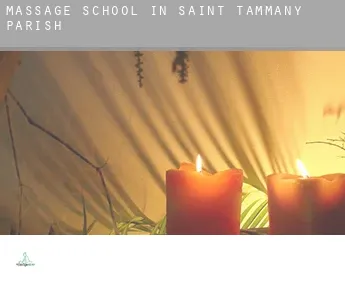 Massage school in  Saint Tammany Parish