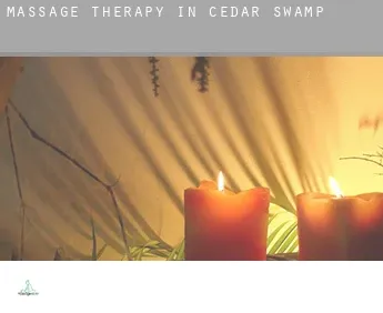 Massage therapy in  Cedar Swamp