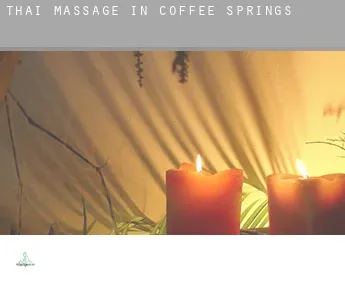 Thai massage in  Coffee Springs