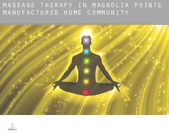 Massage therapy in  Magnolia Pointe Manufactured Home Community