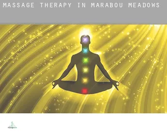 Massage therapy in  Marabou Meadows