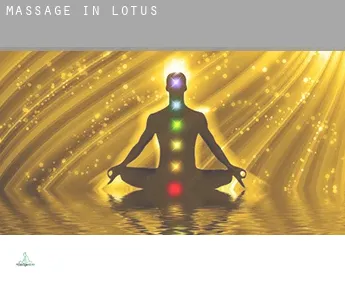 Massage in  Lotus