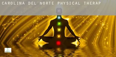 North Carolina physical therapy