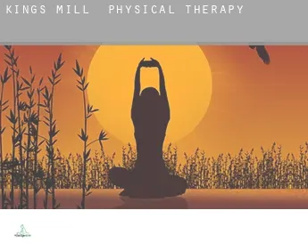 Kings Mill  physical therapy