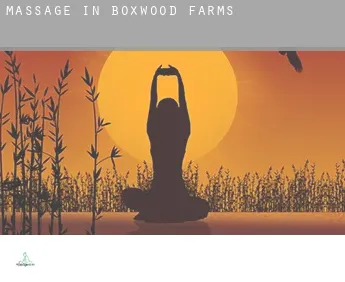 Massage in  Boxwood Farms