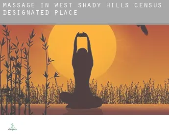 Massage in  West Shady Hills