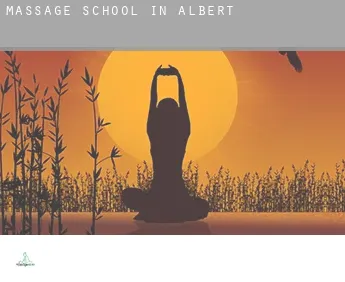 Massage school in  Albert