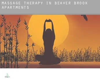Massage therapy in  Beaver Brook Apartments
