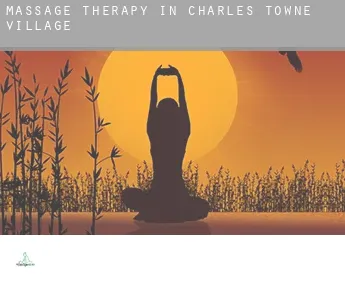 Massage therapy in  Charles Towne Village