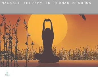 Massage therapy in  Dorman Meadows