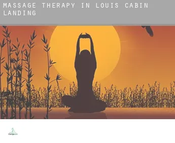 Massage therapy in  Louis Cabin Landing