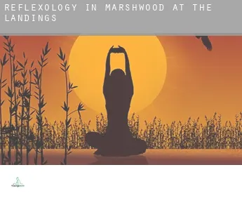 Reflexology in  Marshwood at the Landings