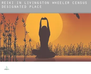 Reiki in  Livingston Wheeler