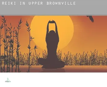 Reiki in  Upper Brownville