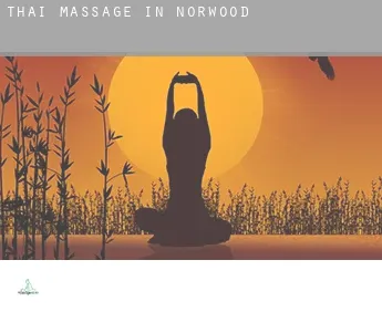 Thai massage in  Norwood