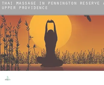 Thai massage in  Pennington Reserve at Upper Providence