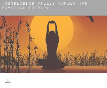 Thunderbird Valley Number Two  physical therapy