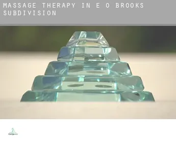 Massage therapy in  E O Brooks Subdivision