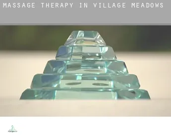 Massage therapy in  Village Meadows