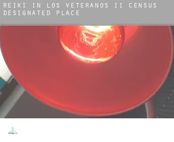 Reiki in  Los Veteranos II