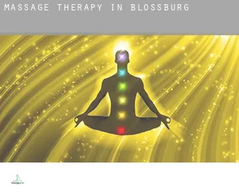 Massage therapy in  Blossburg