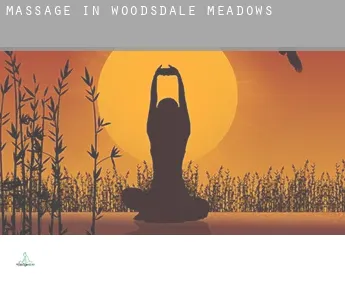 Massage in  Woodsdale Meadows