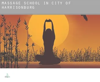 Massage school in  City of Harrisonburg