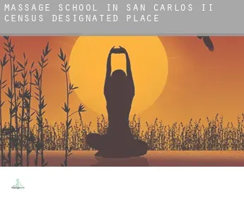Massage school in  San Carlos II