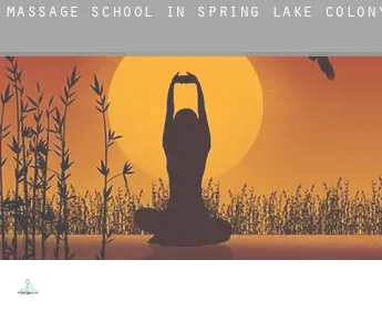 Massage school in  Spring Lake Colony