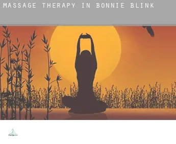 Massage therapy in  Bonnie Blink
