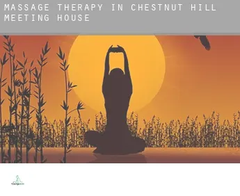 Massage therapy in  Chestnut Hill Meeting House